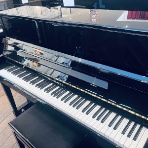Schimmel C120